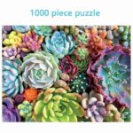 Jigsaw Puzzle 1000 Piece Succulent Plants 1